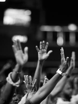 pexels-photo-2014775