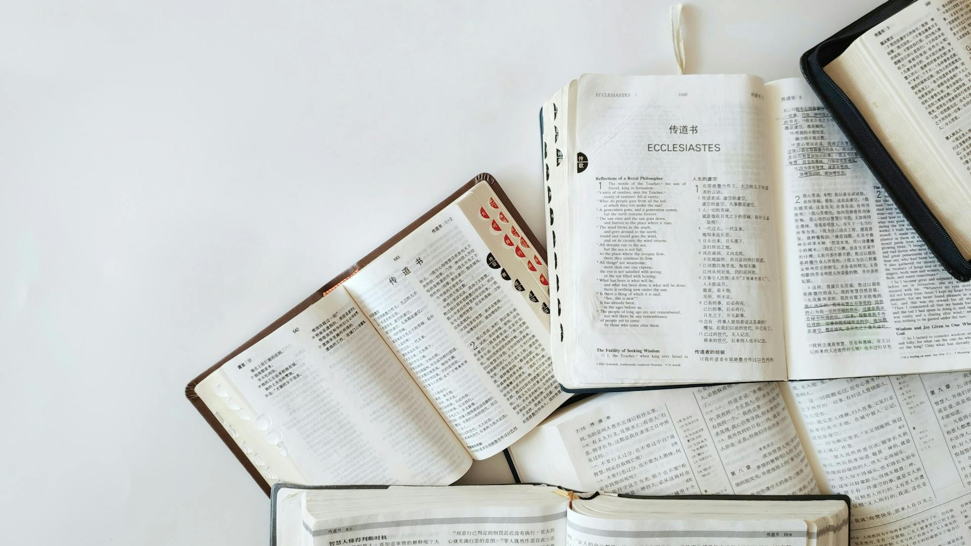 pexels-photo-22710978